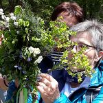 Die Pilgerstäbe werden mit Blumen, Kräutern, Zweigen und Bändern geschmückt