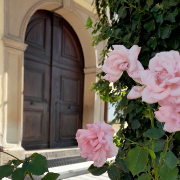 Eingangstür Pfarrkirche / © Pfarre Andrichsfurt Die Türe der Pfarrkirche mit rosaroten Rosen im Vordergrund