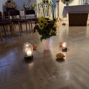 30 Jahre Schola