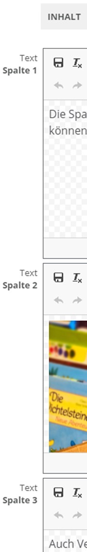 Widget Spalten Textboxen
